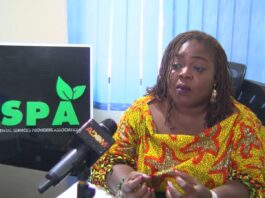 ESPA proposes dedicated budget for national cleanup exercise