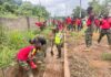 Ho Central MP joins 66 Artillery Regiment in nationwide clean-up exercise