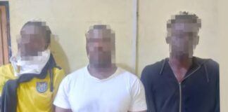 Seven arrested after disruption at NPP constituency executive elections in Wiamoase