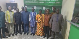 Ghana, Burkina Faso lift trade restrictions on eggs and tomatoes