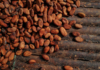Ghana’s cocoa production is expected to fall 16% next season