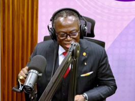 Judges rule on law, not politics — Yonny Kulendi