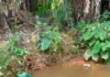 GNFS team rescues toddler from drowning at Nkawkaw