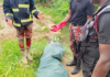 11-year-old boy drowns in dugout pond at Adenta Aviation