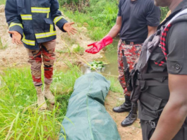 11-year-old boy drowns in dugout pond at Adenta Aviation