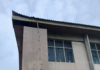 GNFS relocates bee swarm after student, teacher attacked at Vakpo Secondary Technical School