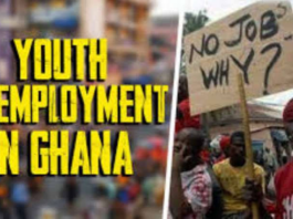 Stop celebrating figures while young people struggle for jobs – Dr Domfeh to gov’t