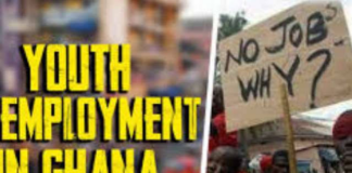 Stop celebrating figures while young people struggle for jobs – Dr Domfeh to gov’t