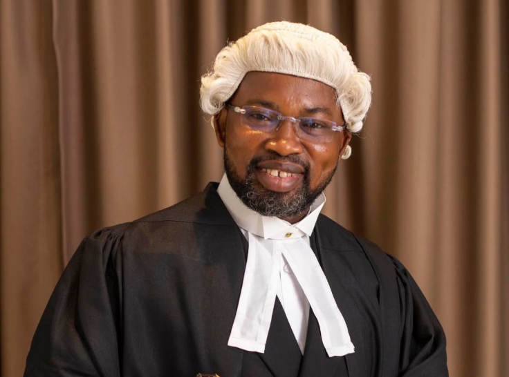 Lawyer explains why Camilla Alhassan was jailed for one year instead of three - Adomonline
