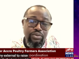 We were not consulted on ‘Nkoko Nkitinkiti’ – Poultry Farmers Association