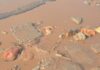 Poor road conditions turn Kasoa–Mallam commute into four-hour ordeal