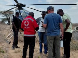 Six tourists, pilot killed in helicopter crash in Kenya