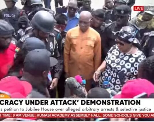 Nana Yaa Jantuah made a mistake accepting NPP’s petition – Mustapha Gbande