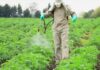 Pesticide air pollution linked to respiratory illnesses among farmers