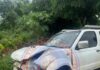 Titus-Glover’s campaign team involved in accident near Dambai
