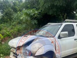 Titus-Glover’s campaign team involved in accident near Dambai