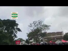 NPP supporters change Police-approved route during march to Jubilee House