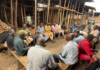 Timber Monitoring Team pushes registration as 95% of sawn timber sellers remain unregistered