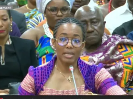 Zanetor to resign from Pan-African Parliament role if…