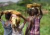 Child labour-free zones emerge as Ghana’s new weapon against child labour