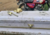 Grave digger arrested for exhuming corpse to steal casket