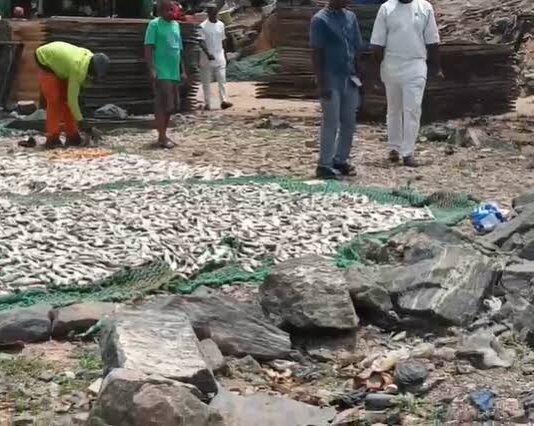 Mahama raises concerns over unhygienic fish drying at Tema Newtown
