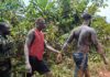 Mpohor-Fiase Assembly arrests 26 in anti-galamsey operation