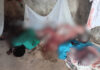 Disputed Yiidana chief and son shot dead in Gushegu