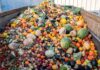 Ghana wastes between 40% and 50% of fruits and vegetables annually – Charles Yabe Ghana wastes between 40% and 50% of fruits and vegetables annually – Charles Yabe