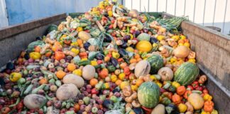 Ghana wastes between 40% and 50% of fruits and vegetables annually – Charles Yabe