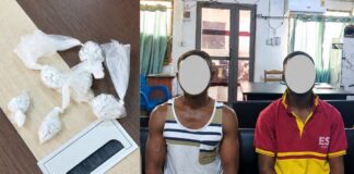 Two arrested as Police intercept 192 parcels of suspected cocaine in Wa