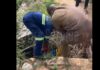 GNFS retrieves lifeless body of man in open drain at Wa SSNIT Residence