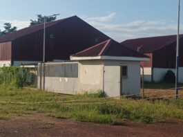 Rice processing plant in Dormaa West locked up over lack of raw materials