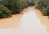 World Rivers Day: Berekum residents call for stronger measures against galamsey and illegal logging