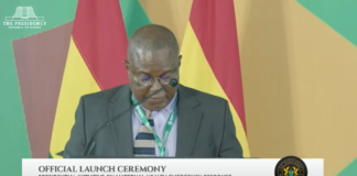 Chairman of the National Development Planning Commission (NDPC), Dr Nii Moi Thompson,