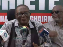 Nii Armah Ashitey enters NDC national chairmanship race