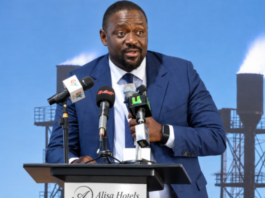 Dr Kwame Sarkodie, a petroleum engineering expert,