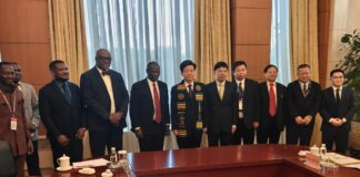Ghana, China deepen cooperation to tackle illegal mining