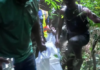 Enough is enough – GIF demands immediate justice for slain forest guards