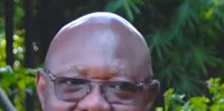 Visibility without substance is just noise; I don’t seek popularity – Dr Oppong-Fosu