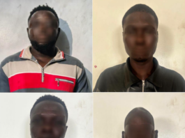 Police arrest seven suspected armed robbers at Zebilla