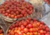 Gov’t begins preparations for large-scale dry season tomato farming – Dumelo