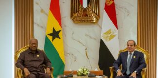 President John Dramani Mahama and Egyptian President Abdel Fattah el-Sisi have agreed to deepen cooperation between Ghana and Egypt in defence, pharmaceuticals, trade and infrastructure.