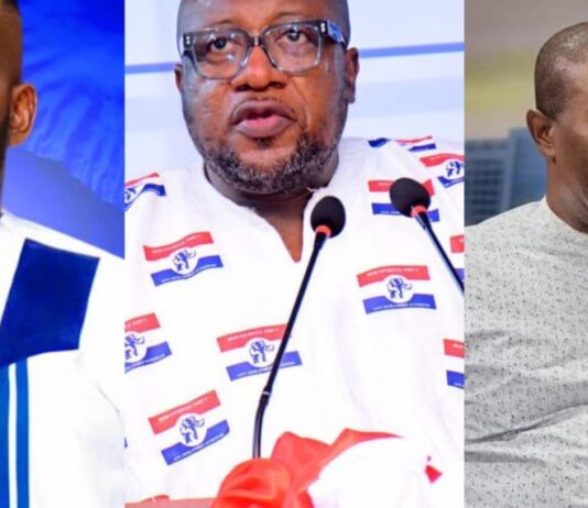 Meet the three newly elected NPP Vice Chairpersons