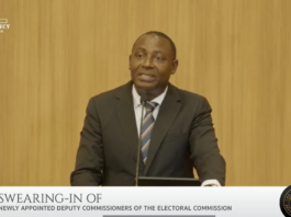 Credible elections require collective national effort – New Deputy EC Chair