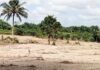 82-year-old woman reportedly dies from shock after alleged destruction of farmlands at Agona KTK
