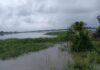 Weta irrigation farmers petition Agric Ministry after floods destroy rice fields