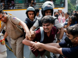 ‘Cockroach’ group leaders among hundreds detained in Delhi protest