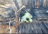Four family members, including two children, die in Apemanim fire