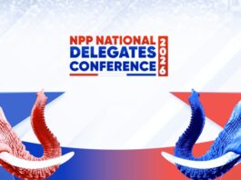 NPP to elect national executives today